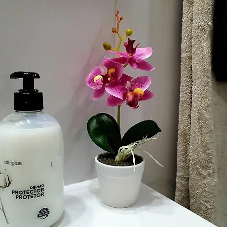 Luz شقة *